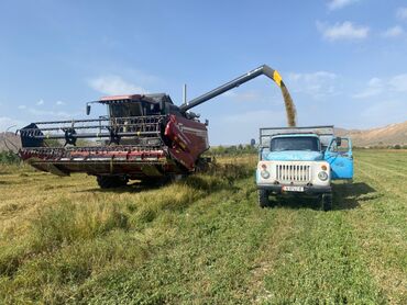 грузовое авто продажа: Грузовик, Б/у