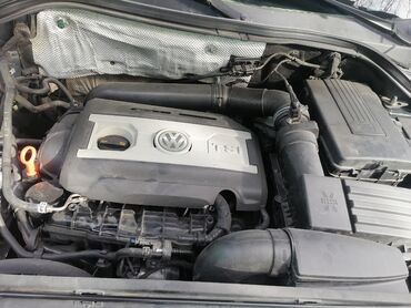 Volkswagen: Volkswagen Amarok: 2 | 2008 il