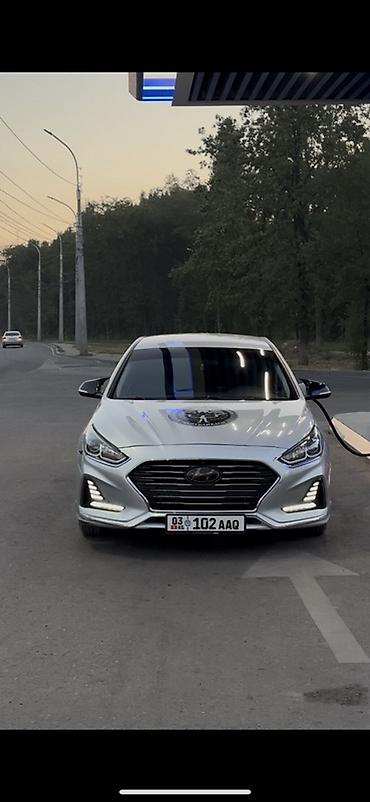 outback 2017: Hyundai Sonata: 2019 г., Автомат, Газ, Седан — 1