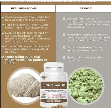 Витамины и БАДы: США Экстракт Ежовник гребенчатый он же Львиная грива капсулы Чистый — 4