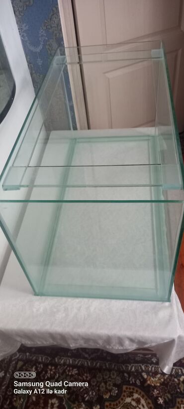 Akvariumlar: Salam isdənilğn ölçüdə akvarium və terarium yığıram isdəyən buyursun — 9