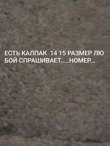 шины r 20: Капкактар R 14, Колдонулган, Комплект lalafo.kg да шины r 20: Капкактар R 14, Колдонулган, Комплект