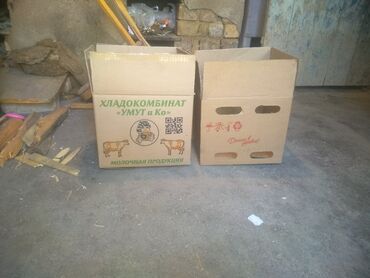 мороженое умут бишкек в Кыргызстан | Үйлөрдү сатуу: Умут коробка 3000 шт в наличии Пока висит объявление значит товар есть