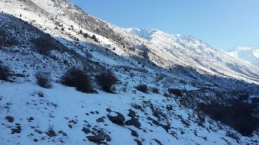 официанты бишкек: Сатуучу консультант, Тажрыйбасы 5 жылдан жогору, 40 жаштан жогору