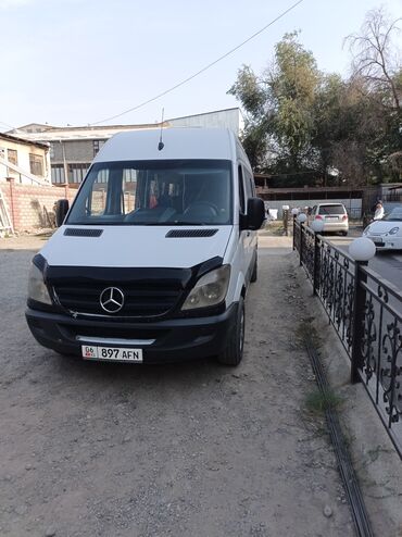 Аренда пассажирского буса: Mercedes-Benz Sprinter (длинная база, высокий потолок), белый цвет с