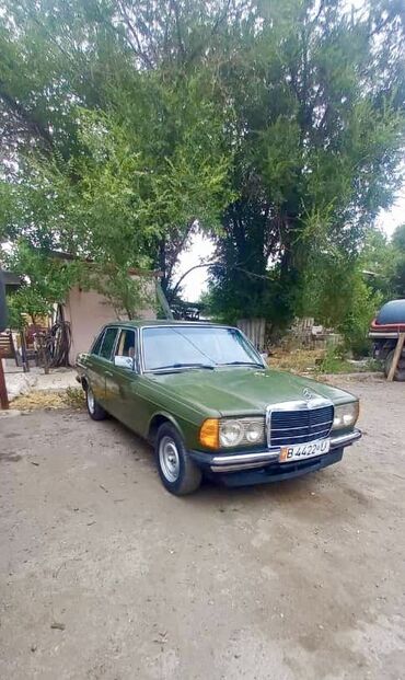 Mercedes-Benz: Mercedes-Benz W123: 1982 г., 2 л, Механика, Дизель, Седан