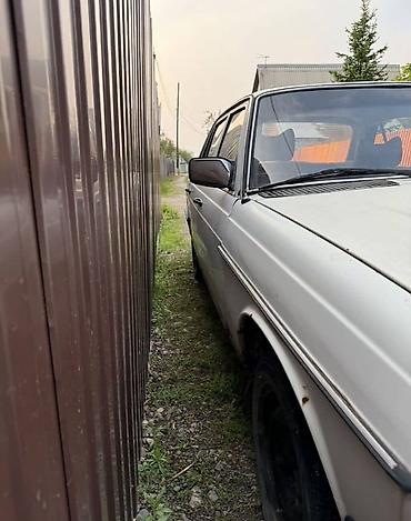 мерс грузовой 814 817: Mercedes-Benz W123: 1982 г. — 6
