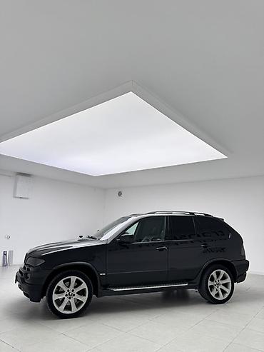 BMW: BMW X5: 2005 г., 4.8 л, Автомат, Бензин, Внедорожник — 2