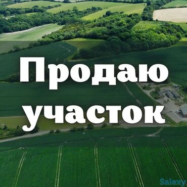 земельные участки коммерческого назначения: 20 соток, Для бизнеса, Красная книга, Тех паспорт, Договор купли-продажи