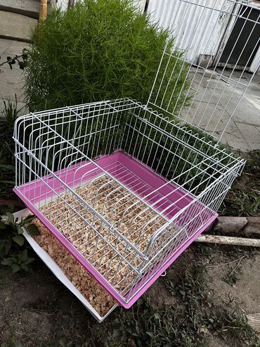 Qəfəslər: Etrafli vp 051 494 09 86 Qefeslerin her biri satişda var qefes bitende — 8