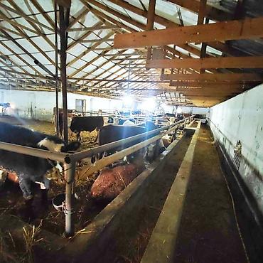 İcarəyə binalar: Ferma və təsərrüfat kompleksi 📍Ünvan : Ağsu rayonu • Sahə : 85 sot • — 10