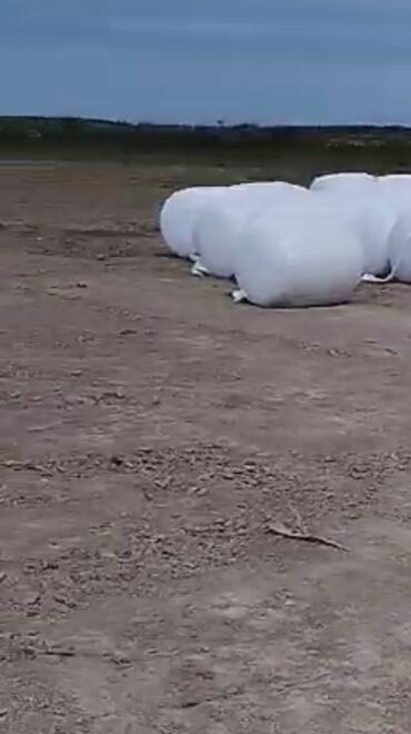 Yemlər: Ucuz Silos Gargadali packalarda 390-430 kg Siyazen rayonu,Semaxa