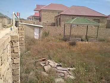naxçıvan: 4 sot, Kənd təsərrüfatı, Mülkiyyətçi, Kupça (Çıxarış) — 5