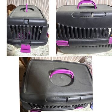 pitbul it: Məhsul dəsti – ev və heyvan aksesuarları 1) Plastik heyvan daşıma