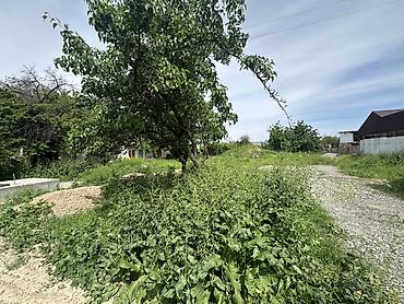 Продажа участков: 30 соток, Для бизнеса — 16