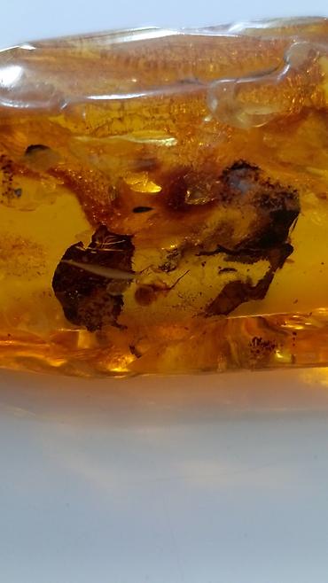 Qiymətli daşlar: Kəhrəba, Pulsuz çatdırılma — 5