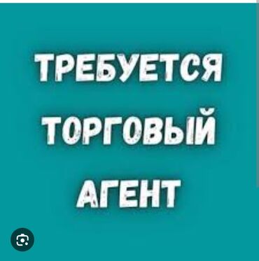 пицца печь б у: Требуется Торговый агент, График: Пятидневка, Без опыта, Оплачиваемый отпуск, Полный рабочий день