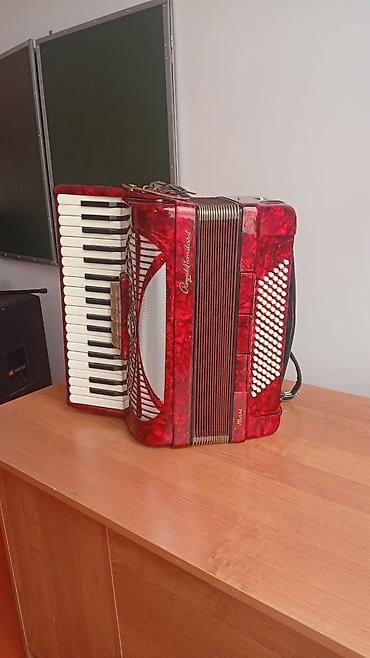 купить музыкальные инструменты бу: Клавишный аккордеон Royal Standard “Mari” - Корпус: перламутровый — 1