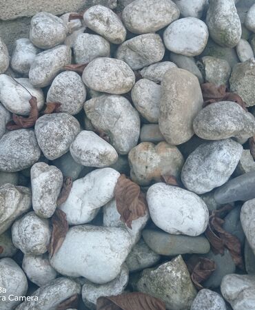 Kafel və metlax: Əhəngçün çaydan Ağ daş yığıb həmdə kamaza yüklüyürəm başqa şeyçün