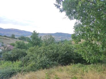 Torpaq sahələrinin satışı: 20 sot, Tikinti, Mülkiyyətçi, Kupça (Çıxarış), Texniki pasport — 9