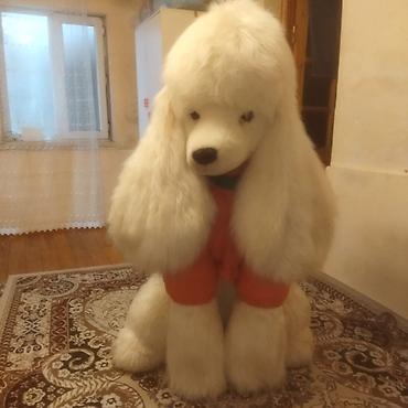 toy pudil: Satıram brend maldır yenidir Nəhəng plyuş pudel fiquru - Realistik — 3