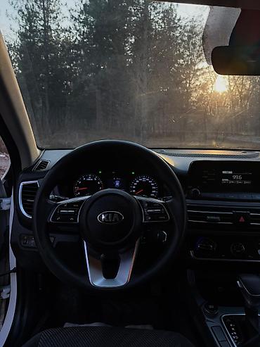 Kia: Kia Seltos: 2020 г., 1.6 л, Автомат, Бензин, Кроссовер — 15