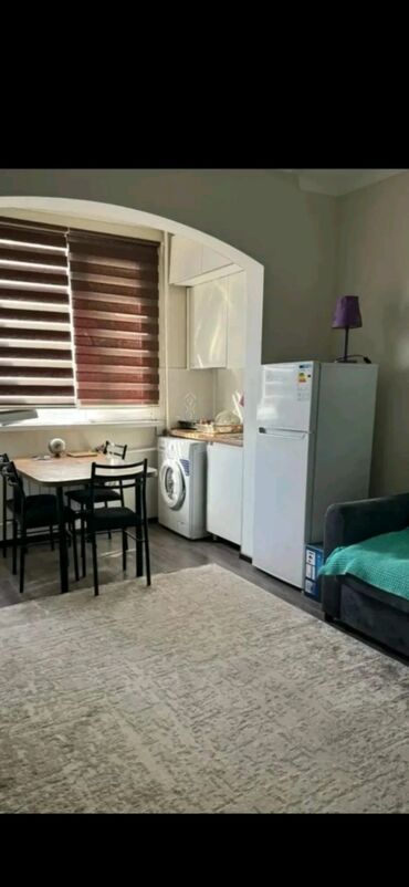 сниму дом на длительный срок: Студия, Риелтор, Чогуу жашоосу жок, Толугу менен эмереги бар