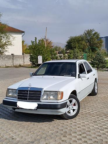 Mercedes-Benz W124: 1991 г., 2.3 л, Механика, Бензин, Седан