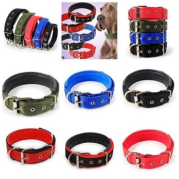 Зоотовары: ПРОДАЮ КОШАЧЬЮ МЯТУ(АНТИСТРЕСС),ПОРАДУЙТЕ СВОГО КОТИКА ТАКОЙ — 7