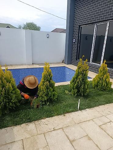 ucuz cam balkon: Xidmət: Bağ və villa həyətlərinin yaşıllaşdırılması üçün təbii rulon — 4