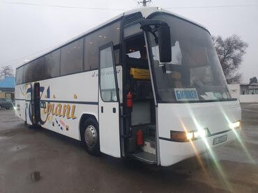 бус каракол: Автобус, 40 жана андан көп орун