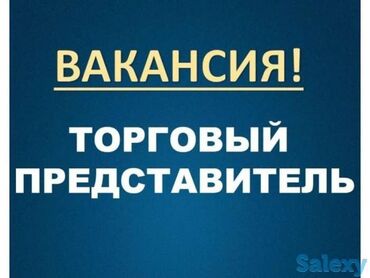 сдаю маникюр: Вакансия: Торговый представитель с личным авто в развивающиеся