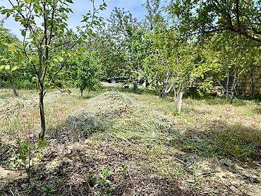xaçmaz torpag: 6 sot, Tikinti, Kupça (Çıxarış) — 7