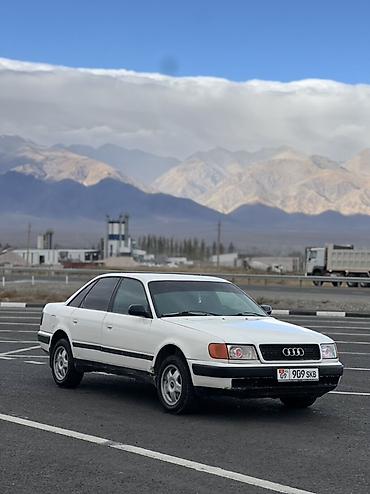 глушитель выхлоп: Audi 100: 1991 г., 2 л, Механика, Бензин, Седан — 3