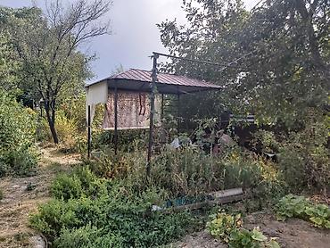 рожь: Продаётся дачный участок с домом и садом. - Дом кирпичный/каркасный с — 7