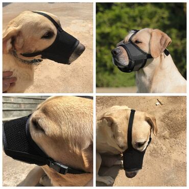 Зоотовары: Продаю приспособление для выращивания травы для животных и людей(в — 8