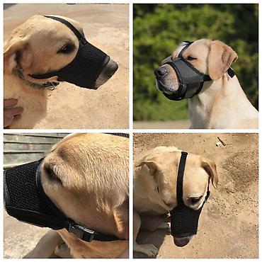 Зоотовары: ПРОДАЮ СУПЕР ПРОЧНЫЙ МЯЧЬ ДЛЯ СОБАК,А ТАК ЖЕ — 26