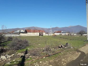 torpaq gəncə: 21 sot, Tikinti, Mülkiyyətçi, Kupça (Çıxarış) — 6
