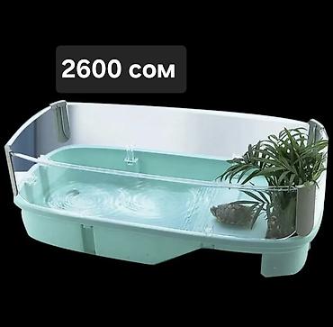 Аквариумы: Аквариумы и емкости для содержания черепах/мелких водных питомцев. 1) — 2