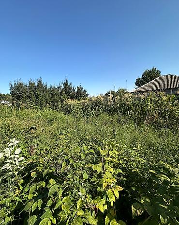 1 bedroom: 4 соток, Для строительства, Красная книга, Договор купли-продажи — 3