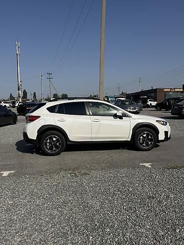 outback 2017: Subaru XV: 2020 г., Кроссовер — 3