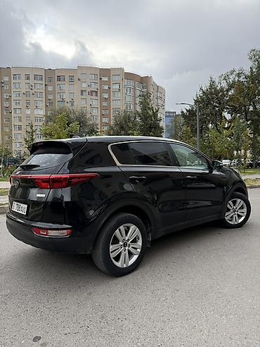 киа спортеч: Kia Sportage: 2018 г., 1.6 л, Автомат, Дизель, Кроссовер — 5
