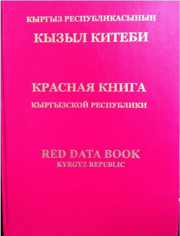 аренда дом ак босого: 5 соток, Айыл чарба үчүн, Кызыл китеп