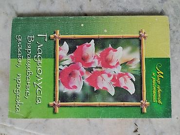 Lüğətlər: Kitab dəsti 1) Rəhbər kitab: “VAZ 2107–07i. Təmir problemsiz” (rus — 11