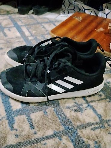 adidas climacool мужские: Мужские кроссовки, 41.5, Adidas, Б/у, цвет - Черный — 1