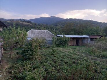 cennet park musfiq qesebesi: 11 sot, Kənd təsərrüfatı, Kupça (Çıxarış)
