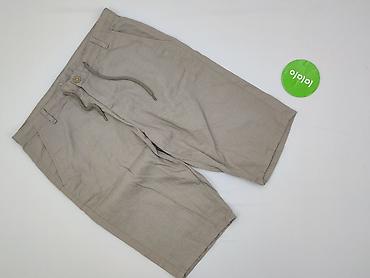 bibs com: Szorty damskie, rozmiar XL — 2
