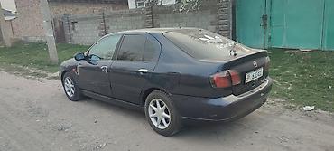 2001: Nissan Primera: 2001 г., Седан — 5