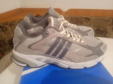 очки хамелеон для зрения цена: Adidas Response CL (код модели GZ1561) - Линия: Originals - Размер по