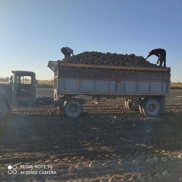 Другой транспорт: ЗИЛ полуприцеп бортовой мотор смд